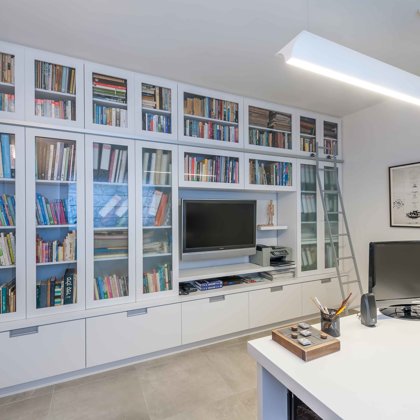 The library at the home office